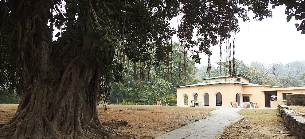 house outside with tree